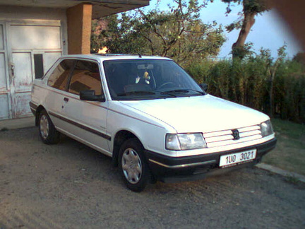 3 Peugeot 309 (1)