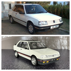 3 Peugeot 309 (2)